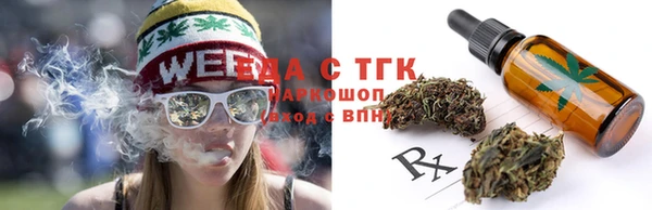 гидра Снежинск
