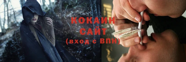 твердый Слюдянка
