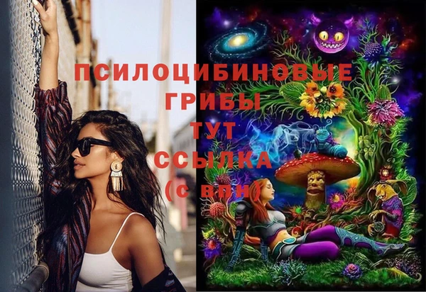 гидра Снежинск