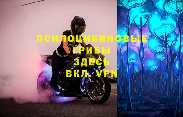 гидра Снежинск