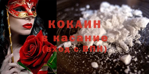 твердый Слюдянка
