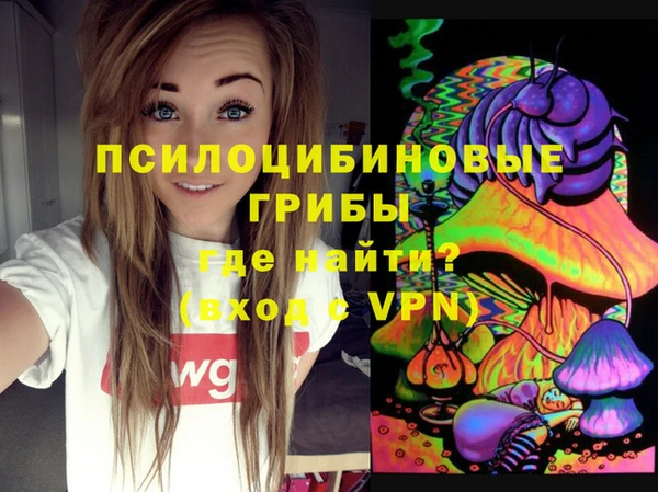 твердый Слюдянка