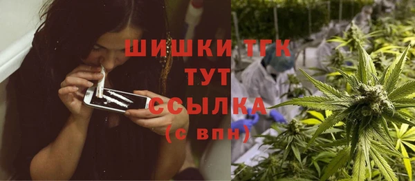 твердый Слюдянка