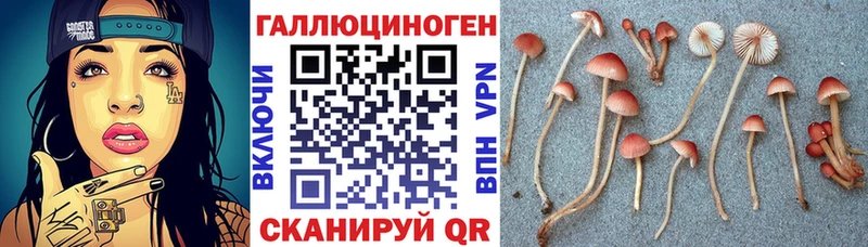 Галлюциногенные грибы мицелий  Дыгулыбгей 